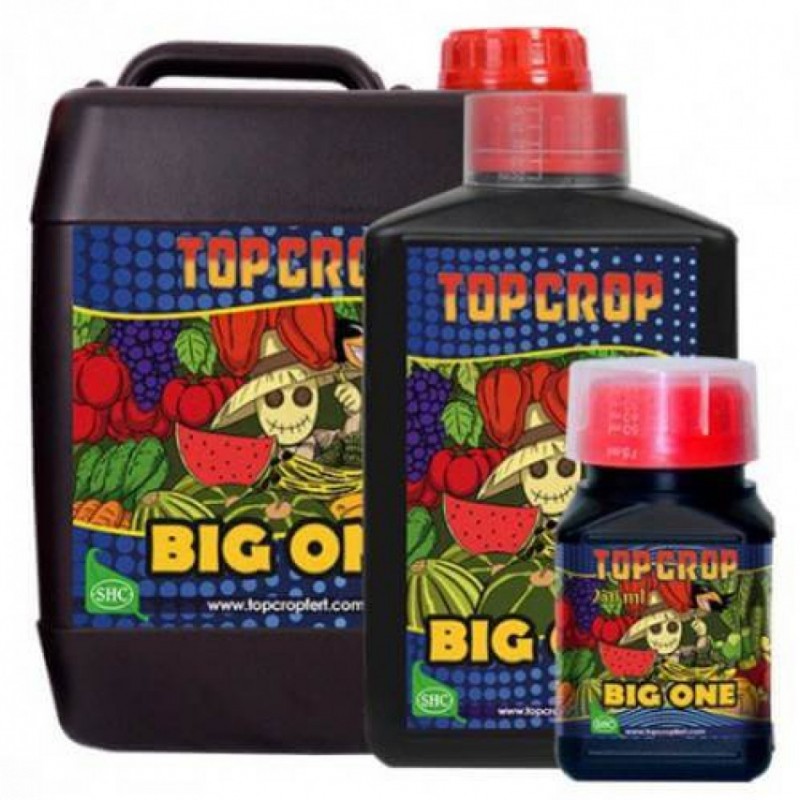 big-one-250-ml-top-crop